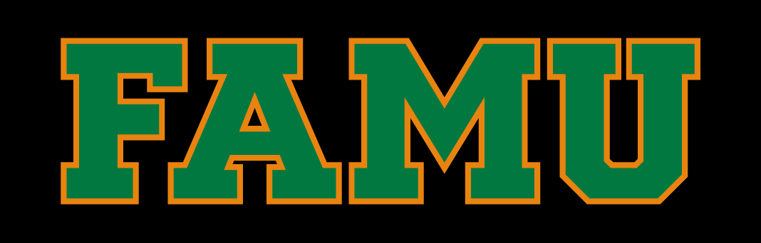 Florida A&M Rattlers 2013-pres wordmark logo v4 diy DTF decal sticker